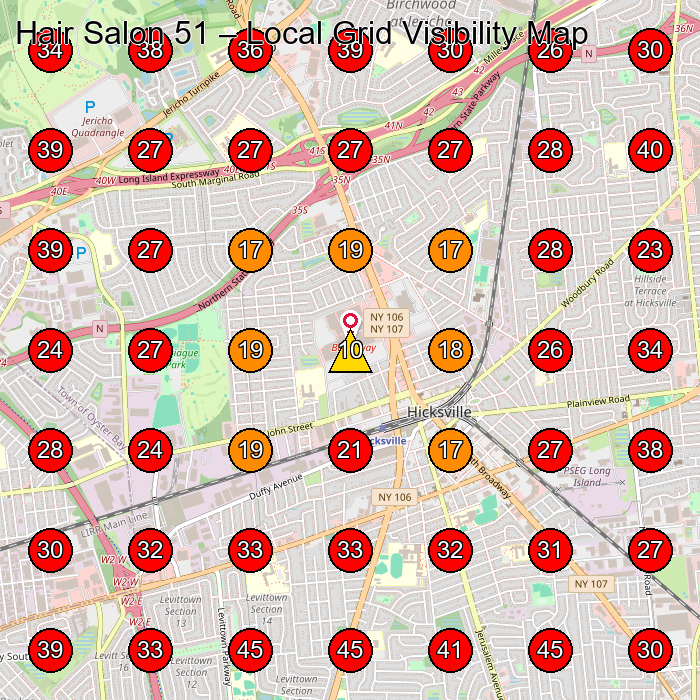 Hair Salon 51 GeoGrid visibility map for Hair Salon in Hicksville